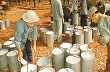 Cao su Đồng Phú: Tháng 1 lãi gộp gần 16 tỷ đồng, giá bán cao su 49,3 triệu đồng/tấn